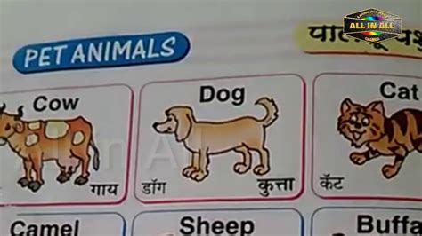 Animals Name In Hindi And English With Photo Aja Pictures