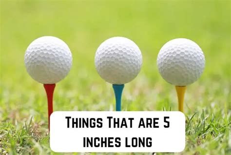 11 Common Things That Are 5 Inches Long With Pictures Measuringly