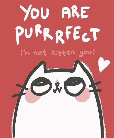 You Are Purrfect Cat Puns Funny Quotes Cute Puns