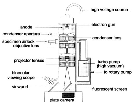 Electron Microscope Diagram