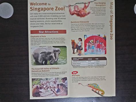 Singapore Zoo Ticket Price Entrance Fee Opening Hours And Map