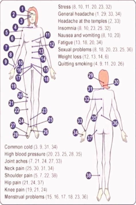 Printable Female Acupuncture Points Chart