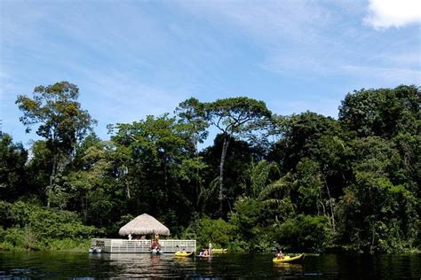 Tour Amazon Rainforest Experience Visit Brazil