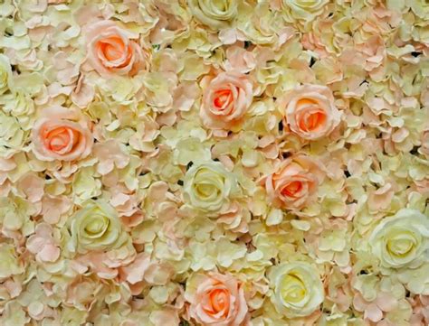 Olympic Party Hire French Rose Flower Wall