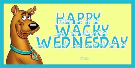 Happy Wacky Wednesday Happy Wacky Wednesday Wacky Wednesday