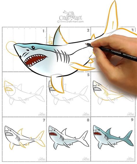 How To Draw A Shark In 9 Easy Steps Easy Drawings For Kids Shark