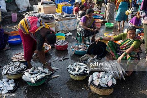 India Fish Market Photos And Premium High Res Pictures Getty Images