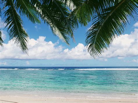 Samoa: How to Spend 1 Week in Paradise — The Curious Travel