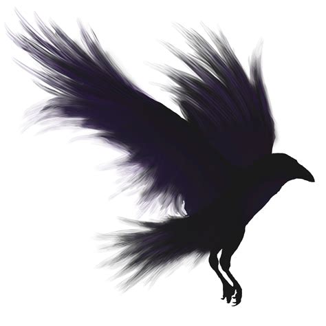 Raven Silhouette Vector Art Raven Clipart Transparent Png Download Images And Photos Finder