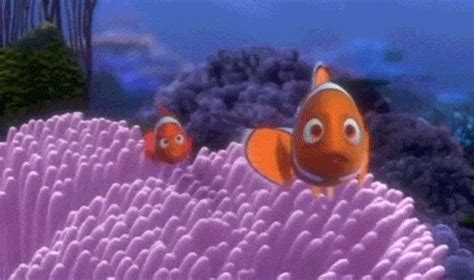 The barracuda is seen at the beginning of the film as it looks at marlin and coral.coral sees her eggs and. Mamis Pixar🌼 | •Pixar• Amino Amino