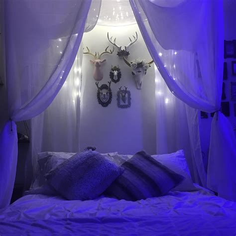 Diy Canopy Bed With Skulls And Fairy Lights Made By