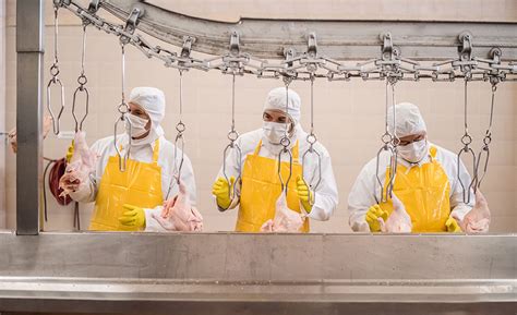 Latest recipes in your inbox. The very fabric of food safety in the meat industry | 2016 ...