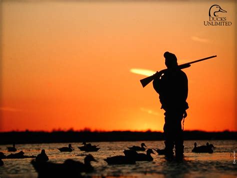 Duck Hunt Sunrise Hunting Wallpaper Hunting Photography Hunting