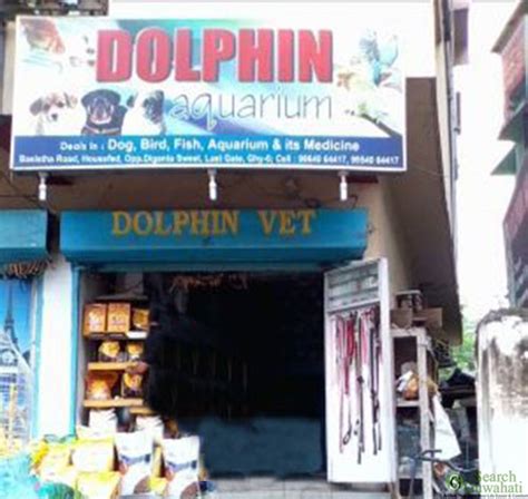 Dolphin Aquarium Pet Shop And Veterinary Clinic Search Guwahati City