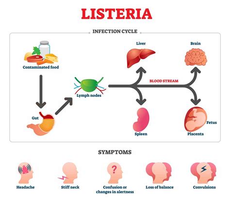 Dangers Of Listeria