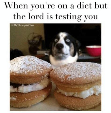 25 Hilarious Diet Memes Barnorama
