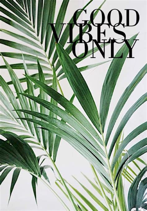 Is a family owned and operated business that personally cares about providing our customers with the highest in quality, convenience, value and service. Background-good vibes only (With images) | Tropical ...