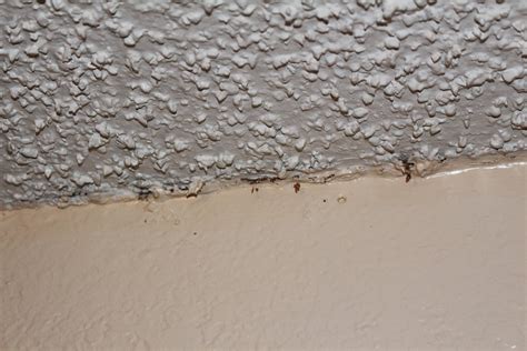 My question is how do i conceal the seams of were the molding. How To Remove Asbestos Popcorn Ceiling | TcWorks.Org