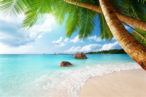 Paradise Ocean Tropical Blue Palm Beach Coast Sea Emerald Wallpaper