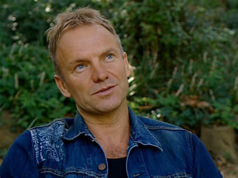 Punked Up Facts About Sting Musics Golden Boy Factinate