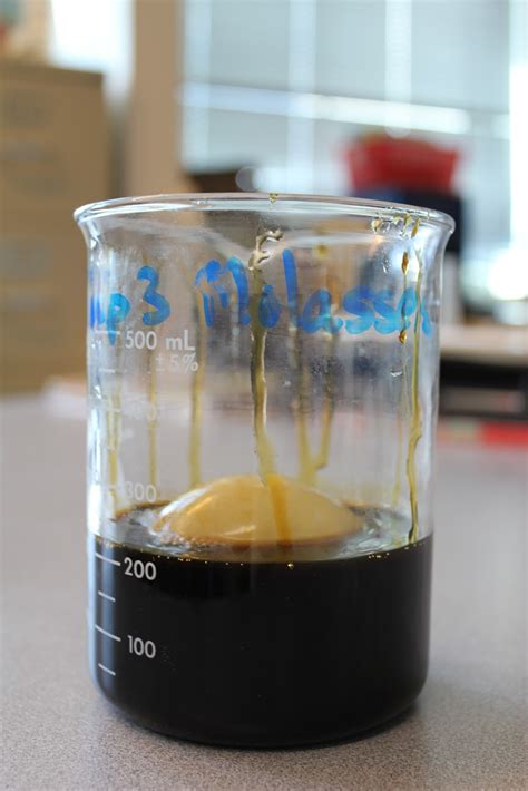 This membrane is selectively permeable; The Science Experience: Osmosis Egg Lab Part 1