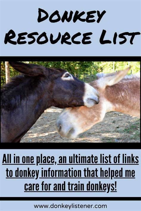 Donkeys Kissing Each Other With The Words Donkey Resources List On Its