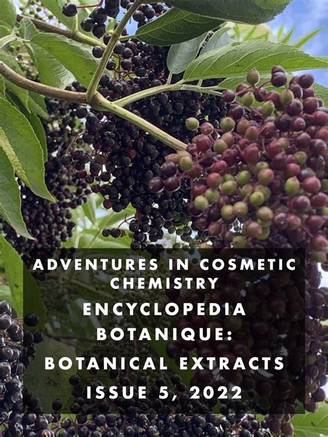 Encyclopedia Botanique Botanical Extracts Point Of Interest