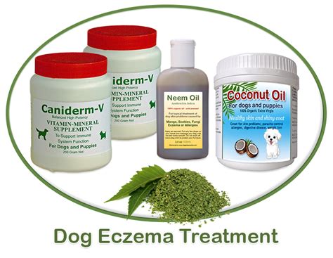 Natural Treatment For Eczema On Eyes Herpes Simplex Virus 1 Icd 9