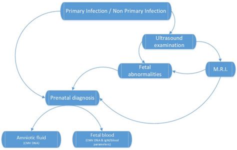 Diagnostics Special Issue Infectious Disease In Pregnancy