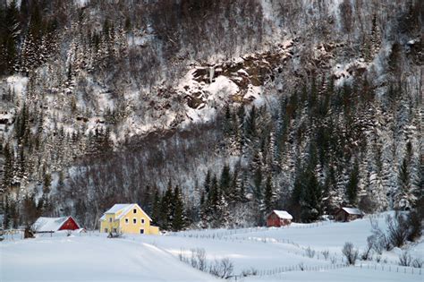Photo Of Norwegian Winter Landscape In January Photos From Northern