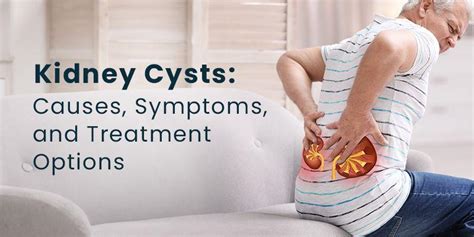 Kidney Cysts Causes Symptoms And Treatment Options