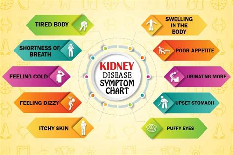 Kidney Disease Early Warning Signs And Symptoms Just Credible
