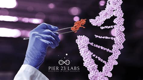 The Power Of Gene Editing A New Era In Medicine And Innovation Pier 23