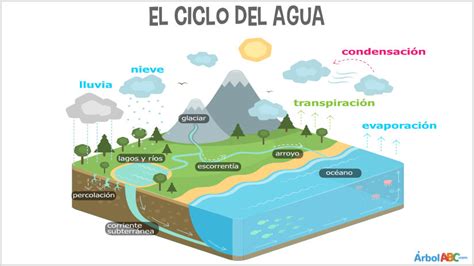 Esquema De Las Fases Del Ciclo Del Agua Kulturaupice