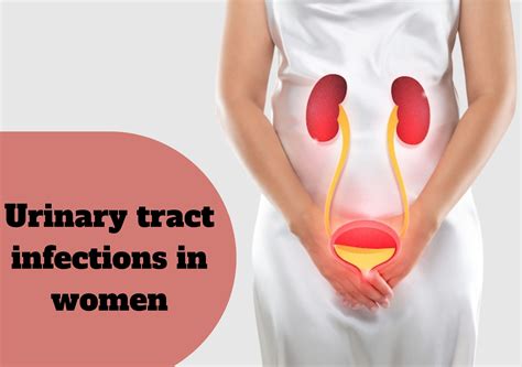 Urinary Tract Infections In Women Urolife Clinic