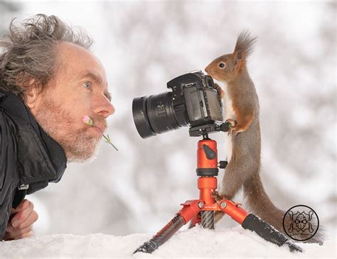 A Whimsical Photo Series Featuring Adorable Wild Red Squirrels Doing