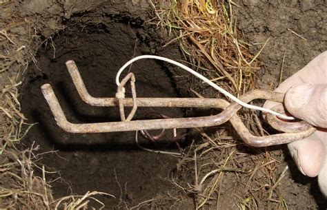 Piège à blatte fait maison. Piege a taupe fait maison - taupier sur la France