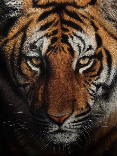 This photo to painting tool will help to connect the dots on your next project. Stunning Life Like Animal Drawings (15 pics) - Izismile.com