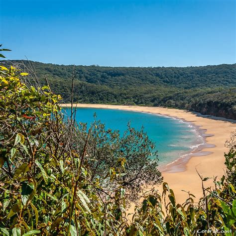 Central Coast Nsw The Ultimate Guide For Your Holiday