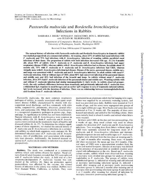 Pdf Pasteurella Multocida And Bordetella Bronchiseptica Infections P Multocida Andb