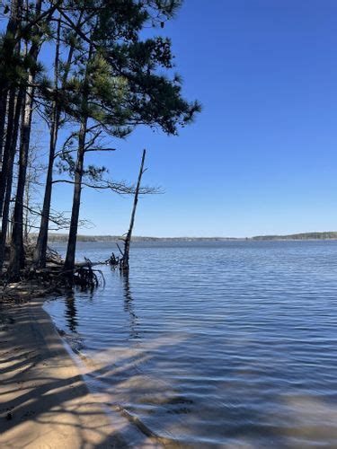 Best Hikes And Trails In Jordan Lake Educational State Forest Alltrails
