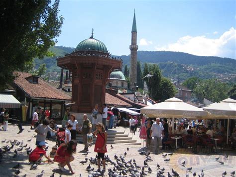 Serbia Bosnia Croatia Travel Agency Olivari