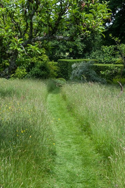 Meadow Path Mown Grass Path Through Meadow Vann House And Flickr