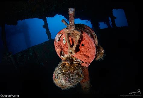 Truk Master Liveaboard Refitted And Now Exploring The Wrecks Of Truk Lagoon