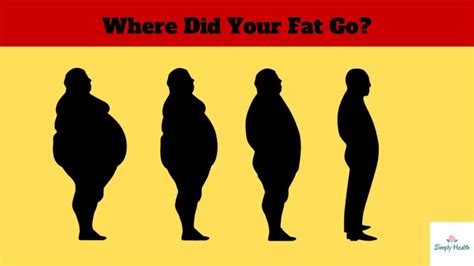 Check Out Where Exactly Your Fat Goes When You Lose Weight Surprising