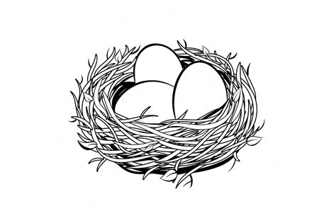 Nest Coloring Sheet Coloring Pages