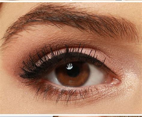 Natural Eye Makeup Looks For Brown Eyes Makeup Vidalondon
