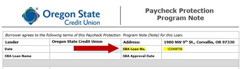 Enter the amounts from ppp schedule a worksheet tables as directed. PPP SBA loan - Oregon State Credit Union