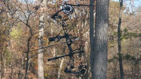 5 Best Arrows For Compound Bow For Hunting In 2023