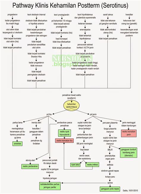Cara ini biasanya dilakukan oleh tim medis untuk memudahkan keluarnya bayi dari rahim seorang ibu. KEHAMILAN SEROTINUS PDF